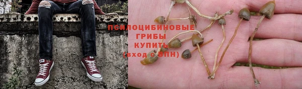 мяу мяу кристалл Дмитриев