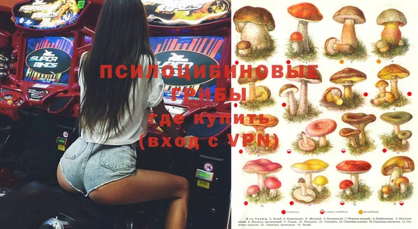 молекула духа Дмитров