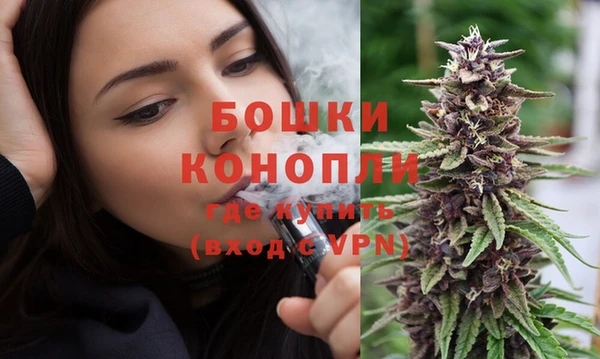 молекула духа Дмитров