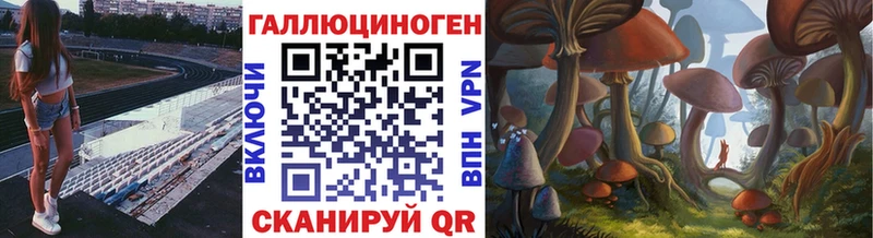 Галлюциногенные грибы GOLDEN TEACHER  KRAKEN ССЫЛКА  маркетплейс клад  Ельня 