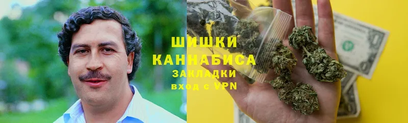 наркотики  Ельня  Канабис Ganja 