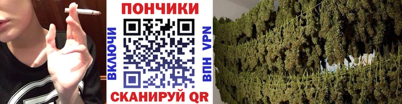Шишки марихуана Amnesia  Ельня 